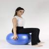 Antar ATCP ABS Rehabilitation Ball, 85 cm Diameter, 1,310 g view 4