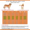 ZZXY 2-Wheel Dog Wheelchair for Small/Large Dogs, Hind-Leg Rehabilitation and Assisted Walking Cart view 2