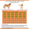 ZZXY 2-Wheel Dog Wheelchair for Small/Large Dogs, Hind-Leg Rehabilitation and Assisted Walking Cart view 4