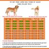 ZZXY 2-Wheel Dog Wheelchair for Small and Large Dogs, Rear-Leg Rehabilitation and Assisted Walking Cart view 3