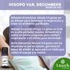 Hyssop var. Decumbens Essential Oil, 100% Pure, Organic and Chemotyped (10 ml) view 4