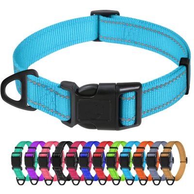 TagME Nylon Dog Collar, Adjustable Reflective Collar with Safety Buckle for Large Dogs, Sky Blue, 2.5 cm Wide
