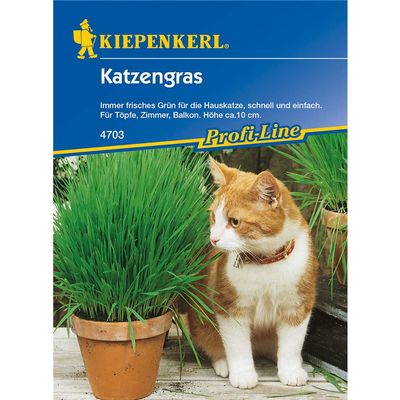 Cat Grass - Fresh Green for Indoor Cats, Easy to Grow for Pots and Balconies