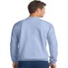 Hanes Sand 369 L view 2
