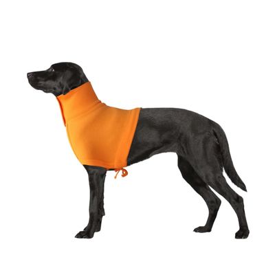 GRANDE FINALE Postoperative Neck Protector for Dogs, Cats, and Rabbits