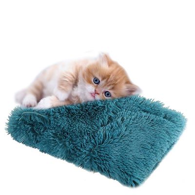 Plush Pet Blanket for Dogs and Cats, Blue, 78 × 54 cm