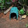 MODERNJOE's Stone Hide for Turtles and Reptiles view 4