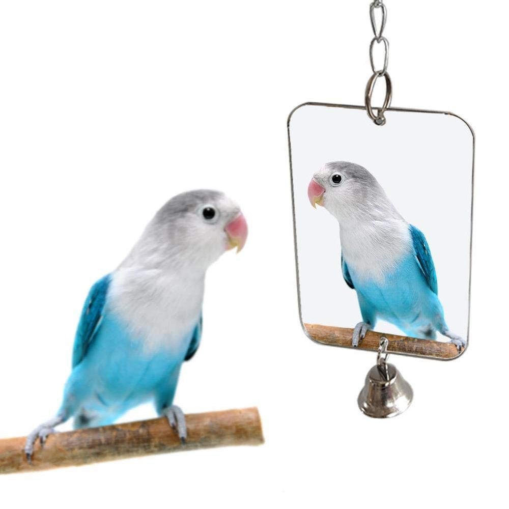 Lankater Parrot Toy with Hanging Mirror and Bell