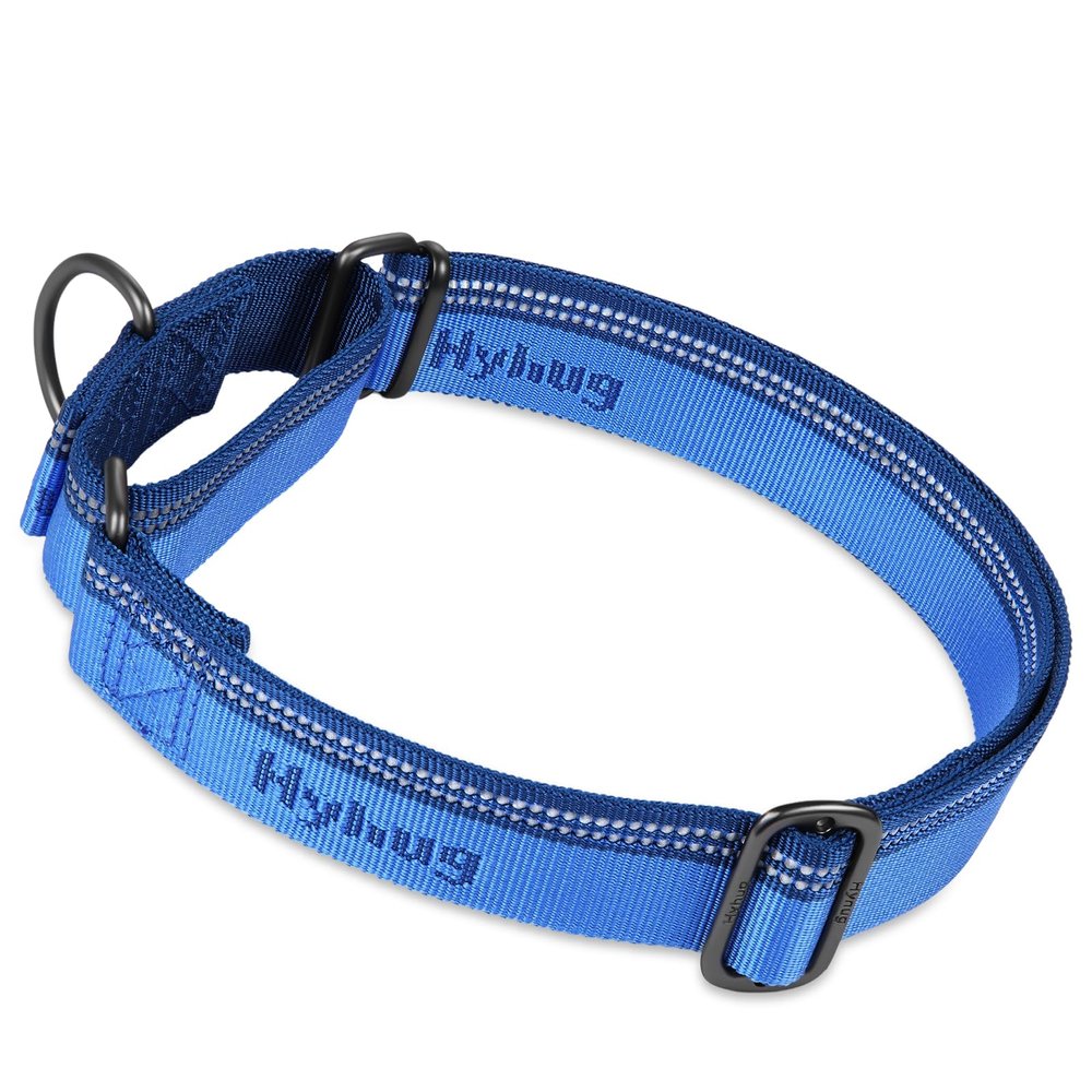 Hyhug Martingale Nylon Dog Collar, Anti-Escape, Small, Marina Blue