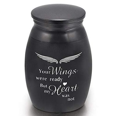 YFCTLM Mini Alloy Pet Ashes Urn Coffin, Black