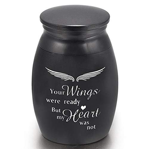 YFCTLM Mini Alloy Pet Ashes Urn Coffin, Black