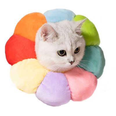 PAPIEEED Adjustable Pet Collar