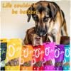 SnackOMio Premium Dog Treats - Crunchy Lamb Cubes, Grain-Free, 125g view 4