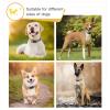 HEELE Dog Collar, Soft Padded Neoprene Nylon for Small to Medium Dogs and Puppies, Adjustable Reflective Training Collar, Gray, S view 4