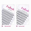 FADLASH Russian Volume 10D 0.07 mm C Curl 8 mm Premade Lash Extensions view 3