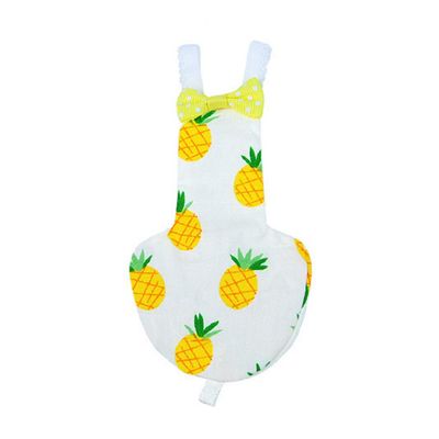 lijun Parrot Diaper Flight Suit for Cockatiels, Pigeons, and Medium-Sized Pets