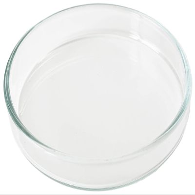 GARNELEN4YOU Feeding Bowl | Made in Germany | Premium Lab Glass