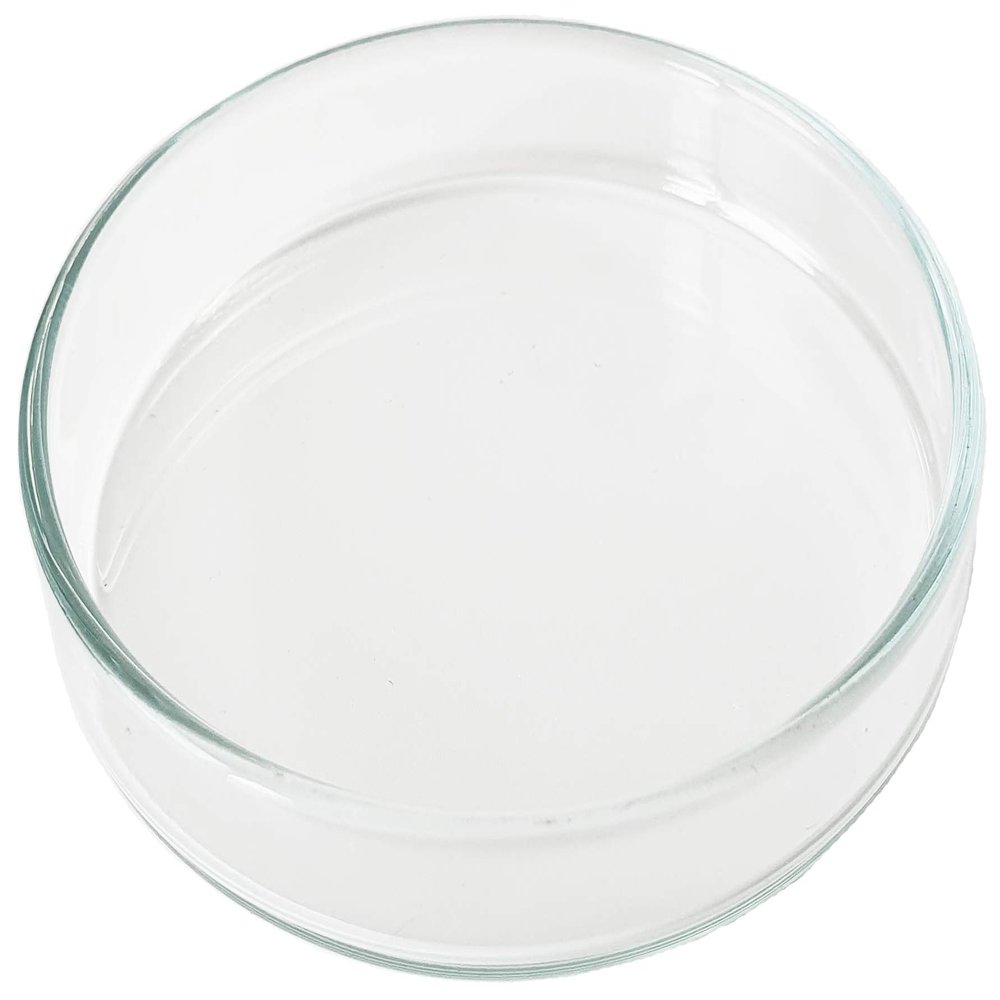 GARNELEN4YOU Feeding Bowl | Made in Germany | Premium Lab Glass