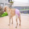 BePetMia Washable Dog Diapers, Reusable Dog Diapers, Eco-Friendly Hygiene Underwear for Dogs in Heat (XS: 20-35cm, Purple) view 2