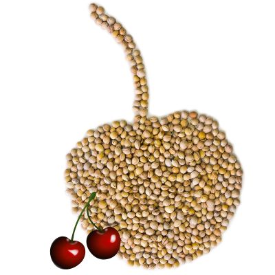 Loose Cherry Pits for Heat Cushions, 15 kg
