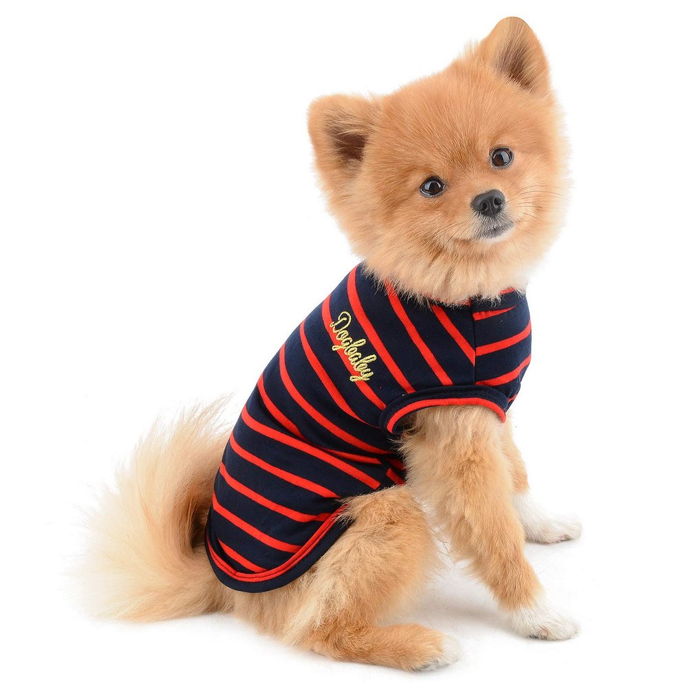 PAIDEFUL Clothing for Small Dogs and Cats