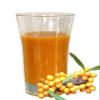 Sea Buckthorn Mother Juice 1 L, 100% Direct Juice - 6 Bottles view 2