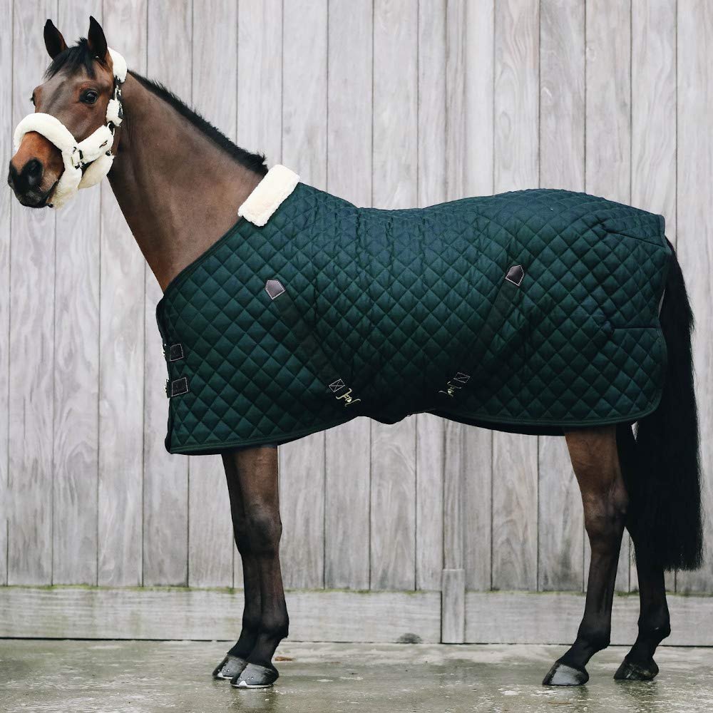 Kentucky Horsewear Stable Rug 400g - Dark Green