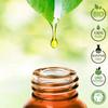 Organic Rosemary, Eucalyptus & Lemon Essential Oil Set, 100% Pure view 2