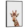 artboxONE Giraffe African Animal Poster with Black Frame, 30 x 20 cm, for Children view 1