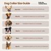 Carlos Diaz Premium Waxed Leather Dog Collar L view 2