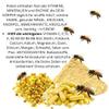 Bee Pollen Capsules 540 (3 x 180), Additive-Free, Cold-Ground view 3