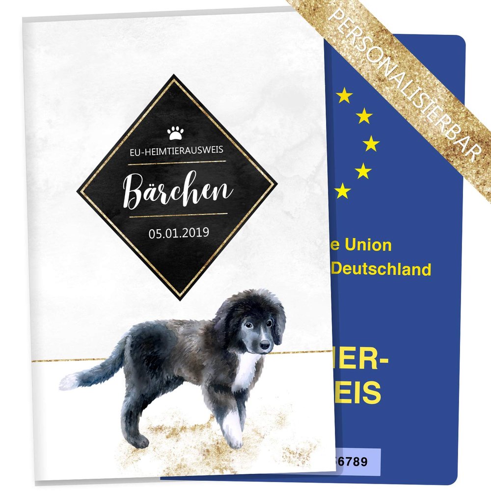 Personalized EU Pet Passport Holder