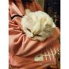 OQSM Fluffsy Cat & Dog Pouch Hoodie, Unisex Sweatshirt, Black, S view 4