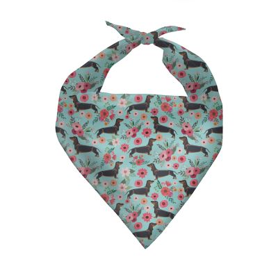 COEQINE Soft Dog Bandana, Floral Black Dachshund Print, Mint Green