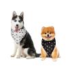 COEQINE Soft Dog Bandana, Floral Black Dachshund Print, Mint Green view 4
