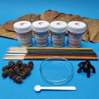 Shrimp Starter Set