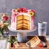 FunCakes Sponge Cake Deluxe Mix, 10 kg view 2
