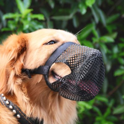 Mesh Dog Muzzle for Small to Medium Dogs