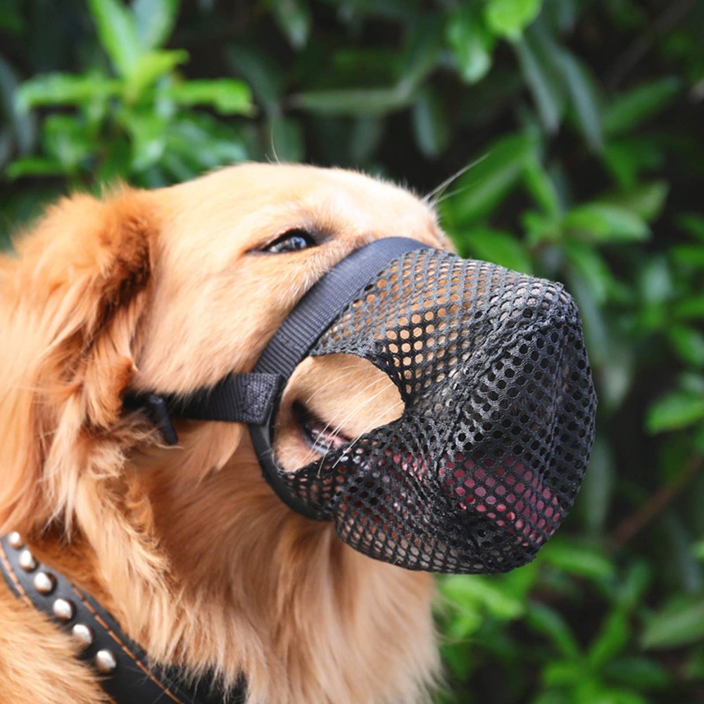 Mesh Dog Muzzle for Small to Medium Dogs