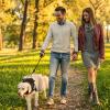 No-Pull Dog Harness with Leash, Adjustable, Soft-Padded Reflective Oxford Vest view 2