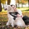 No-Pull Dog Harness with Leash, Adjustable, Soft-Padded Reflective Oxford Vest view 3