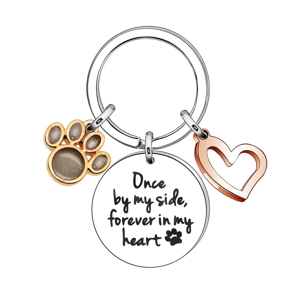 Memorial Gift Keychain for Pet Loss, Sympathy Pet Remembrance Keychain, Silver, 42