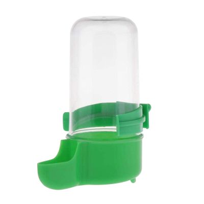 Automatic Bird Water Feeder