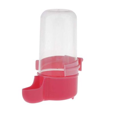 Automatic Bird Water Feeder