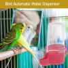 Automatic Bird Water Feeder view 4