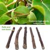 30 Catnip Chew Sticks for Cats view 2