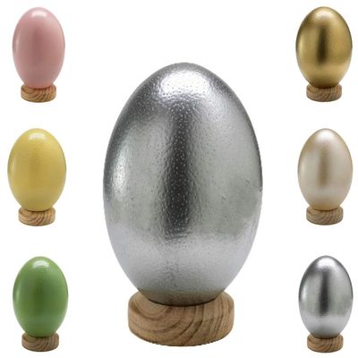 Klocke South African Decorative Ostrich Egg, Silver, 1 Piece, Without Stand