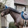 Kentucky Horsewear Velvet Basic Jumping Saddle Pad, Navy view 3