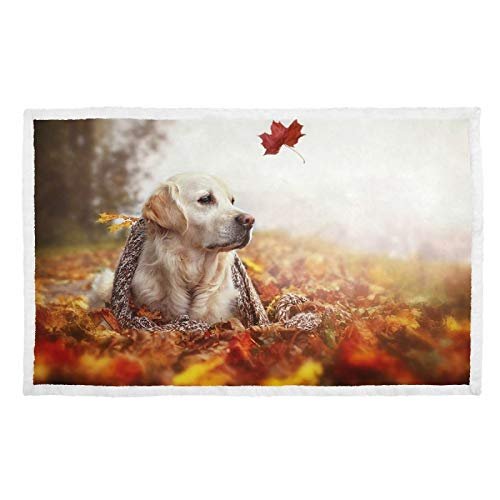 Hengpai Warm Dog Blanket and Pet Bed Cover