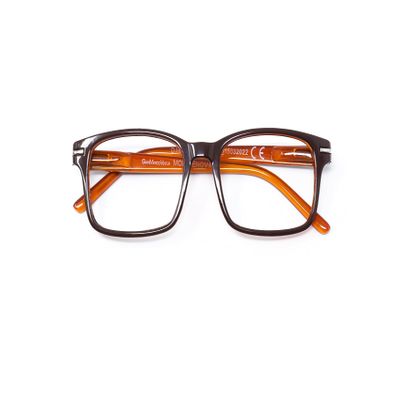 Gian Marco Venturi "Genua" Brown-Yellow (+1.50)